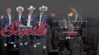 Grupo Sencillo - Se fue la Pantera [ En vivo FP] cover 2022