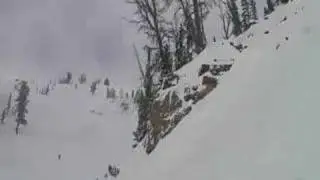 Bluebird vid 2