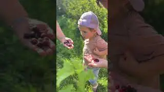 Придумайте название…