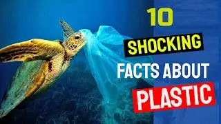 10 shocking facts about plastic