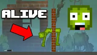 🤯 WEIRD GLITCH in Melon Playground