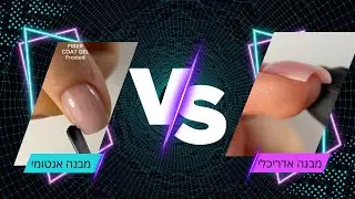 מבנה אנטומי או מבנה אדריכלי