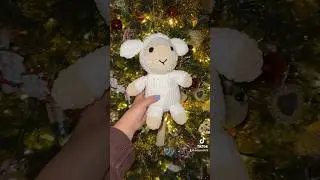 This is the first of 3 sheep! This guy is so cute🤍 
