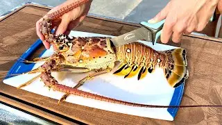 Fried Coconut Crusted *LOBSTER* Bites with a Piña Colada Sauce (Catch Clean & Cook)