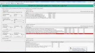 Haasbot  Beginner License - what do you get?