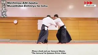 Meishinryu Aikido techniques 明真流　合気道の稽古 #aikido #合気道 #天照会 2025 0228 01