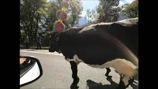 En resa till Alperna del 2