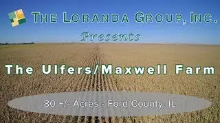 Farmland Listing 80 Acres Ford County Illinois
