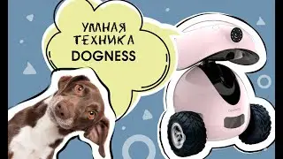 Умная техника для питомцев Dogness