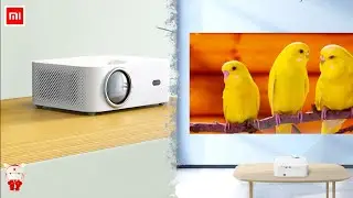 Global Wanbo X1 Pro Projector 4K Android 9 1080P Mini LED Portable Projector.
