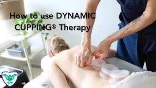 SFH Massage Therapy Courses |  | How to use Dynamic Cupping Therapy in Your Massage Therapy Practice