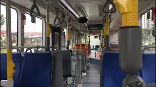 [SBS Transit] BYD B12A03 - SG4013A