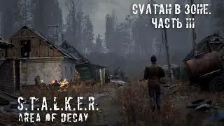 Султан в зоне. Часть III