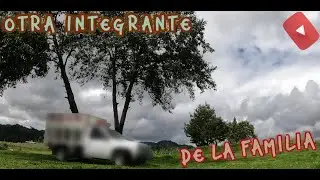 Una INTEGRANTE mas en la FAMILIA 