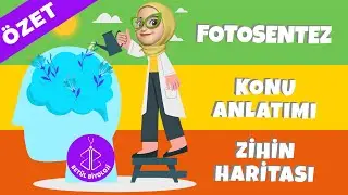 Fotosentez | Özet Konu Anlatımı | 12. Sınıf Biyoloji | AYT Biyoloji