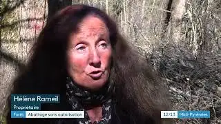 abattage sauvage arbres perles et castelet - mars 2021