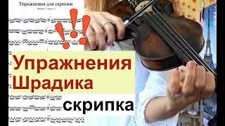 The best Shradik exercises for the VIOLIN! For developing finger dexterity! Everyone, play!!!
