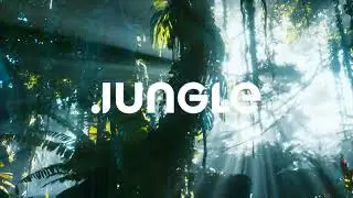 Jungle Ventures crosses $1Bn in AUM
