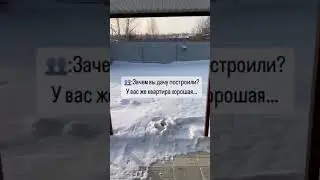 Человейники кругом