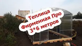 Теплица из профильной трубы Фирменная про 0+