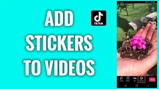TikTok Tips | add stickers on tiktok video