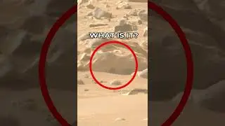 Mars Rover Perseverance SOL 1117 | quicksolutions-data