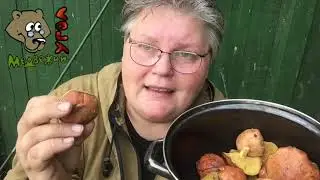 МАСЛЁНОК - от онкологии и подагры (Школа травоведения)