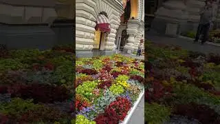Московский ГУМ🥰#москва