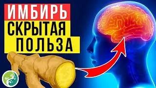 🌟ВОТ Что Произойдет, Если Будете Есть Имбирь Каждый День (Секретные Преимущества)