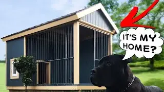 Dog House Project | Time Lapse Build