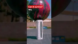 What can survive a bowling ball? 🎳🤔