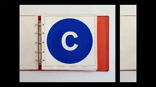 The graphics standards manual but it’s 2022