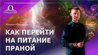 Переходим на питание Праной / Михаил Федоров