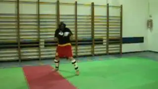 GRISHA 2010 PUNCHS
