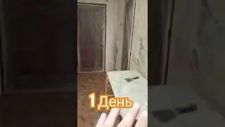 Экспресс ремонт коридора и прихожей. 1 день