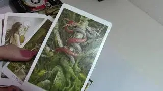 ТАРО Дикого леса. Часть1.