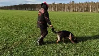 Unerschrocken Henki (следовой тренинг)