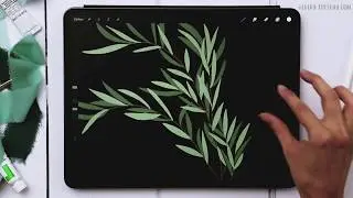 3 Eucalyptus Types Anyone Can Draw in Procreate