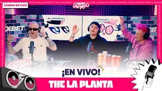 @thelaplantaof  - HOY & LO MISMO QUE A MÍ FT MARCELA MORELO