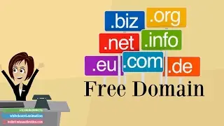 ✅ Web Design & Development Consultant Animated Explainer Video- Webland Solution (Get Free Domain)