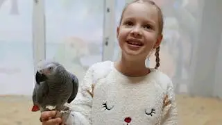 Кормим попугаев. Попугарня Рио. Польша. Popugarnia Rio. Poland Gorzów WLKP
