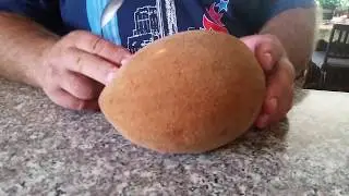 Тропическая вкусняшка -- мамей сапоте.