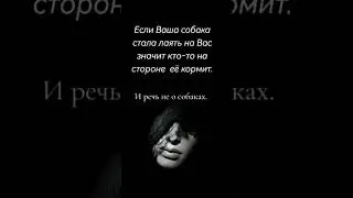 #аллегория