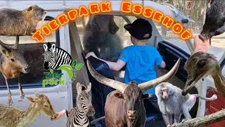 Rundgang durch den Tierpark Essehof #lovenature #zoorundgang #Zoo