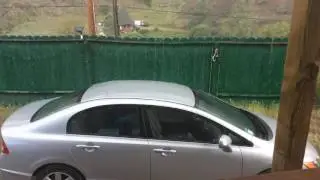IMG 0022