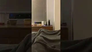 Where’s my kitty?