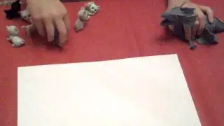 Маджики котята против Дракона