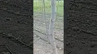 16 июня 2023 г.