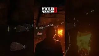 Hidden Gold Bar Locations in Red Dead Redemption 2