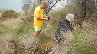 сабачка